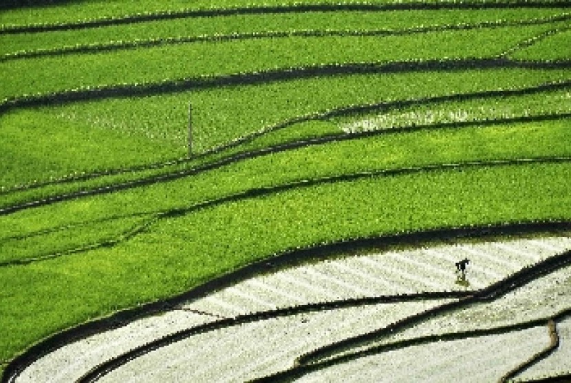 Pemetaan Sawah di Jawa Timur